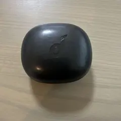 Soundcore Life P3 イヤホンケースのみ
