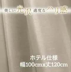 Item thumbnail for item 3027a447-f0db-4442-8529-be3245377b1f