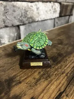 日本のカメ　特装版　ミシシッピアカミミガメのサムネイル
