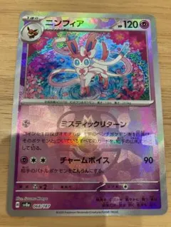 テラスタルフェス