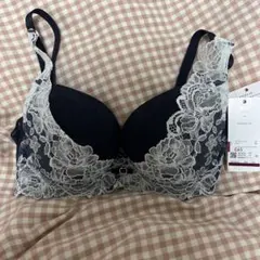 新品　ワコールルジェ　BCA424　24グループ　ブラジャー　E65