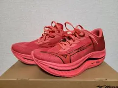 Mizuno WAVE REBELLION FLASH 2 【26.0cm】のサムネイル