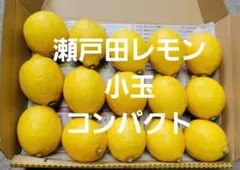 瀬戸田れもん　小玉　コンパクトのサムネイル