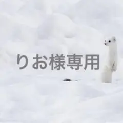 BE:FIRST　ソウタ　くま　クマ　コンプリート　BMSGパーカー　ぬいぐるみ