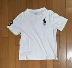 ポロラルフローレン ホワイト Tシャツ ビックポニー　美品　短丈　ホワイト