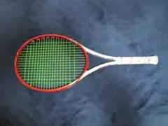 Prince BeastMAX 100 300g G2
