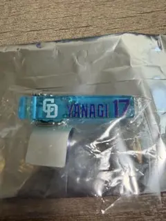 中日ドラゴンズ　柳裕也　ドラゴンズガチャ　キャンプ　アクリルブルーキーホルダー
