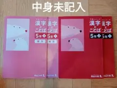 2026年最新】予習シリーズ 漢字とことば 5年の人気アイテム - メルカリ