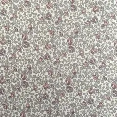 リバティ　エロイーズ　20W 0.5m