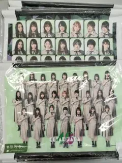 【新品・未開封】 欅坂46くじ　 A3タペストリー賞　アップvers. 新品・未開封】 欅坂46くじ A3タペストリー賞 アップvers. 2025