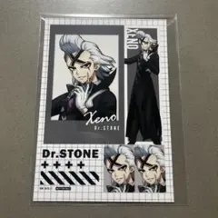 Dr.STONE Dr.ゼノ 購入特典ブロマイド