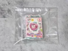 プリキュアオールスターズ 変身ダイキャストチャーム＆パッケージ4