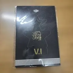 BIGBANG VIP グッズ