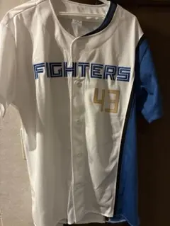 2026年最新】水野達稀 ユニフォームの人気アイテム - メルカリ