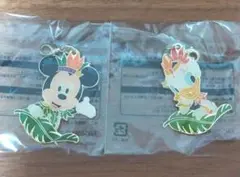 東京ディズニーランド　ジャングルカーニバルチャーム