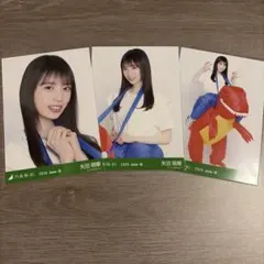 瀬戸口心月 全ツ2026 福井県ver.コーデ 恐竜 乃木坂46 生写真 - メルカリ