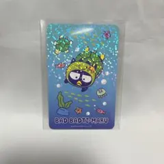 竜眼様 リクエスト 2点 まとめ商品