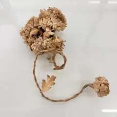 Item thumbnail for item cf38d002-2e27-4fe5-87cf-8037ba04b837