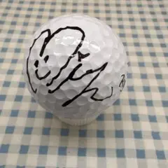 2025年最新】ゴルフ サイン ボールの人気アイテム - メルカリ