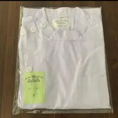 Item thumbnail for item fe7ebea0-04a9-498f-921e-f9b77c406b68