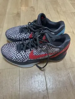 Kobe 6 Protro All-Star 3D Hollywood