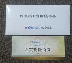 【匿名発送】ヤマダ電機　お買物優待券 5000円分 (500円券×10枚)