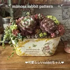 ❤︎さくら様♡ご確認ページ❤︎