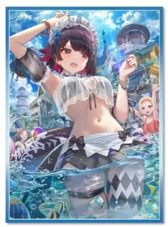 ゼンレスゾーンゼロ エレン 水着 スリーブ 60枚