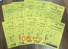 24時間以内発送！ワンピースマガジン ルフィ プロモ カードのみ　10枚