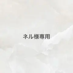 ネイルチップ サイズオーダー 韓国 量産 y2k マグネット グラデーション