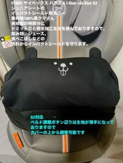 Item thumbnail for item 83364be9-807c-4628-a5e3-5c01c906b085