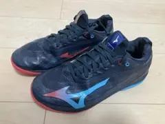 洗濯済　24.5 中古　Mizuno 卓球シューズ ウエーブドライブ neo4