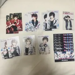 カメレオ Mカード 19枚セット