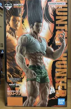 HUNTER×HUNTER ゴン 成長ver. MASTERLISE