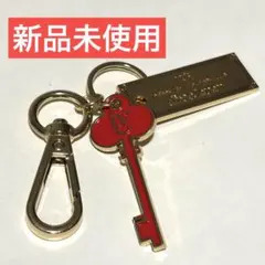 IVE diveJapan キーホルダー キーリング