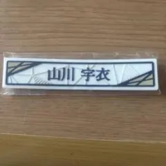 Item thumbnail for item c73c7f88-8468-4be3-bb11-88398aef55c6