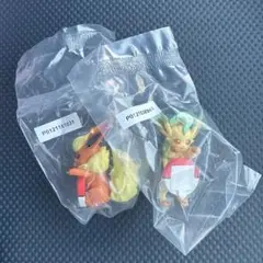 2025 Pokémon Collection 一番くじ