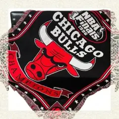USA製　NBA シカゴ・ブルズ　ラグ　ソファーカバー 140×120