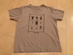 mont-bell 昆虫プリント Tシャツ ベージュ
