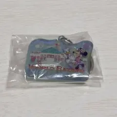 ディズニー テーマポート ワールドバザール キーホルダー