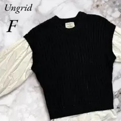 アングリッド セーター ニット ベスト シャツ 重ね着 カジュアル シンプル F