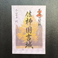 ヨッシー様 リクエスト 5点 まとめ商品