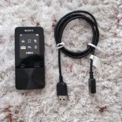 2026年最新】sony walkman nw-s203fの人気アイテム - メルカリ
