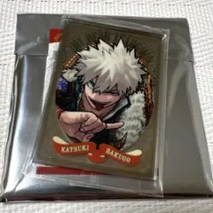 はづき様 リクエスト 2点 まとめ商品