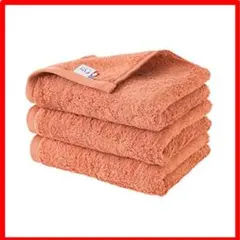 【匿名配送】オレンジ_3枚セット ブルーム 今治タオル 認定 FUu(ふぅ) フ