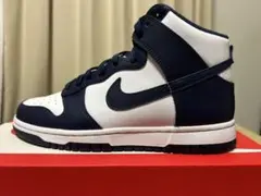 Nike Dunk Hi Retro 10 (US)