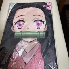 Item thumbnail for item 96fb0aa3-c424-4b1b-be48-0f5ba26e0a7d