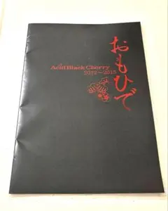 2026年最新】Acid Black Cherry パンフレットの人気アイテム - メルカリ