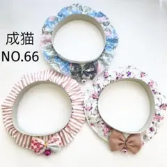 Item thumbnail for item 1b5f64d9-a374-42c5-819d-56d8e91499d0