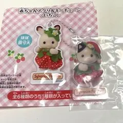 シルバニアファミリー 赤ちゃんアクリルキーチェーン　いちご チャコールネコ